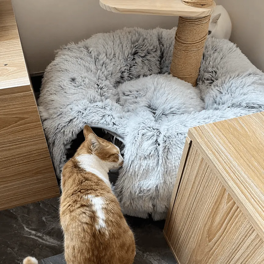 2-in-1 Cat Tunnel Bed Bundle