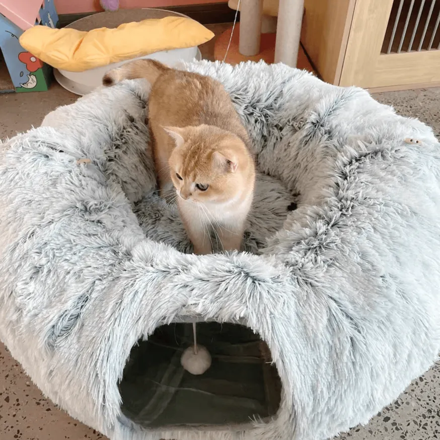 2-in-1 Cat Tunnel Bed Bundle