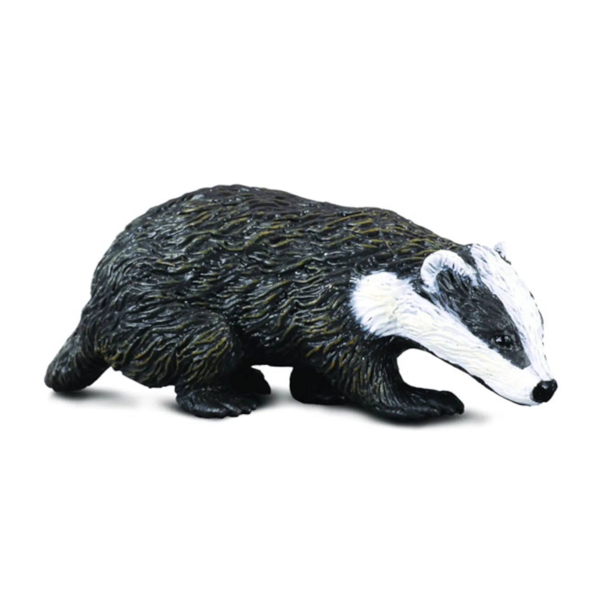 Badger