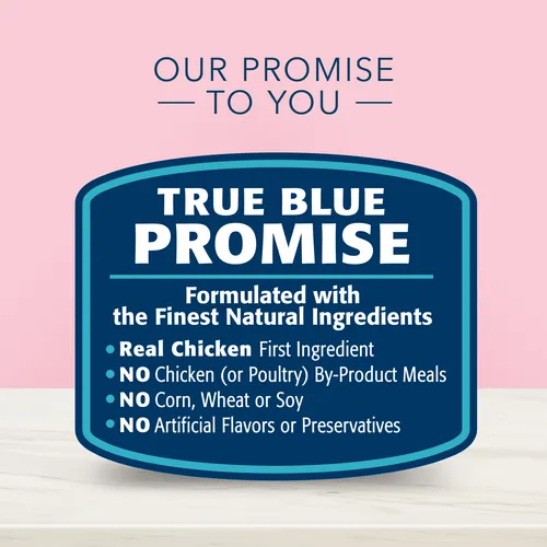 BLUE True Solutions Digestive Care Adult Dry Cat Food