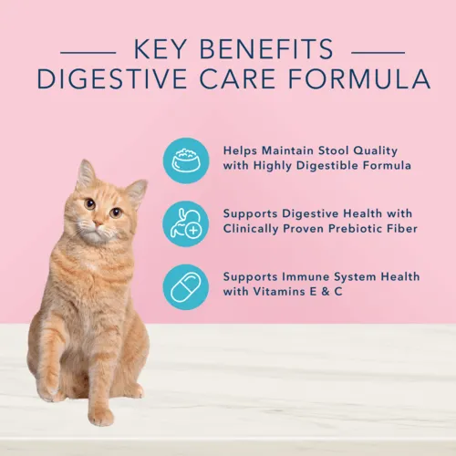 BLUE True Solutions Digestive Care Adult Dry Cat Food