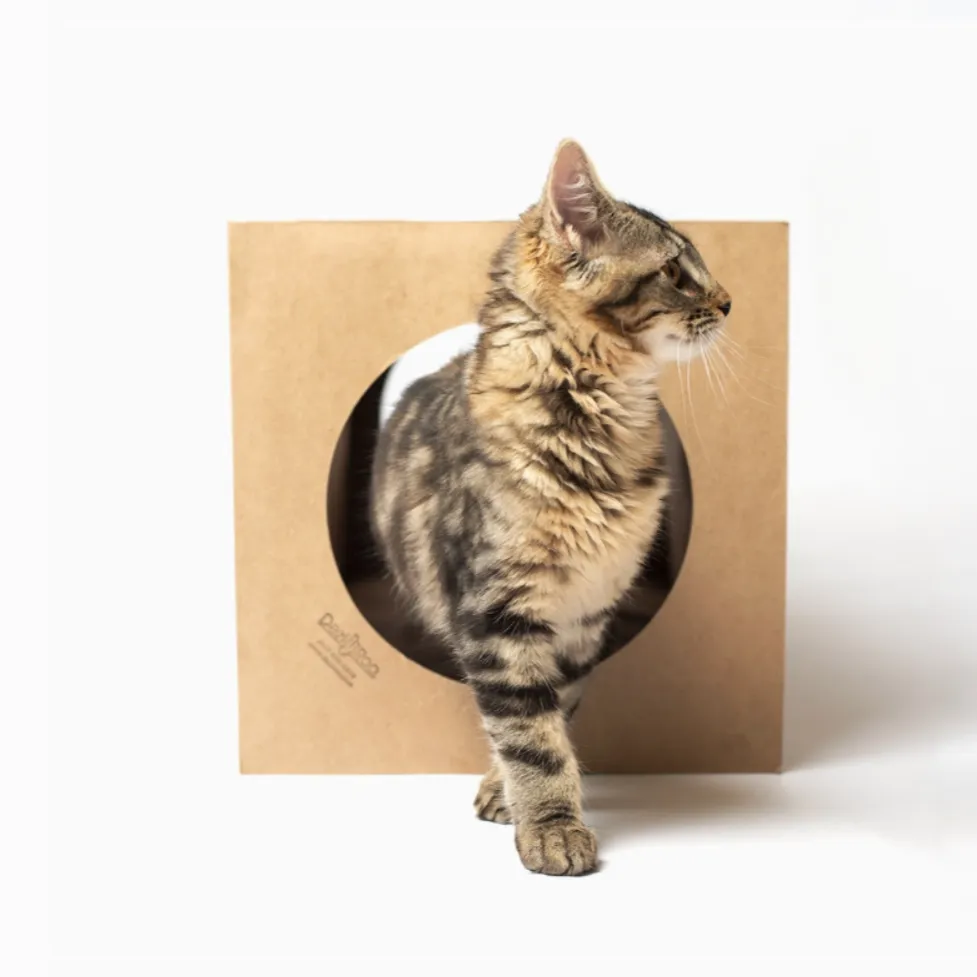 Cat Play Tunnel