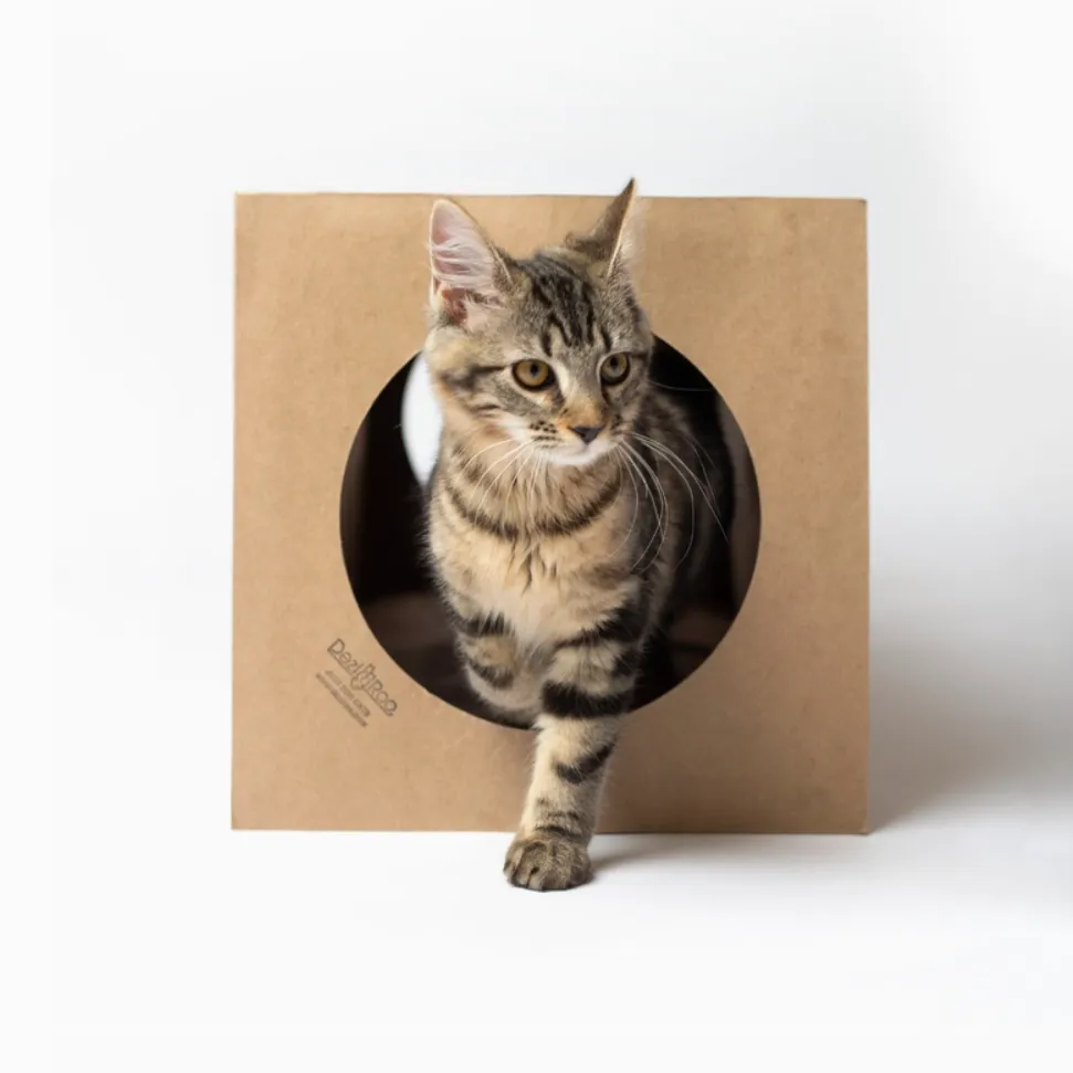 Cat Play Tunnel