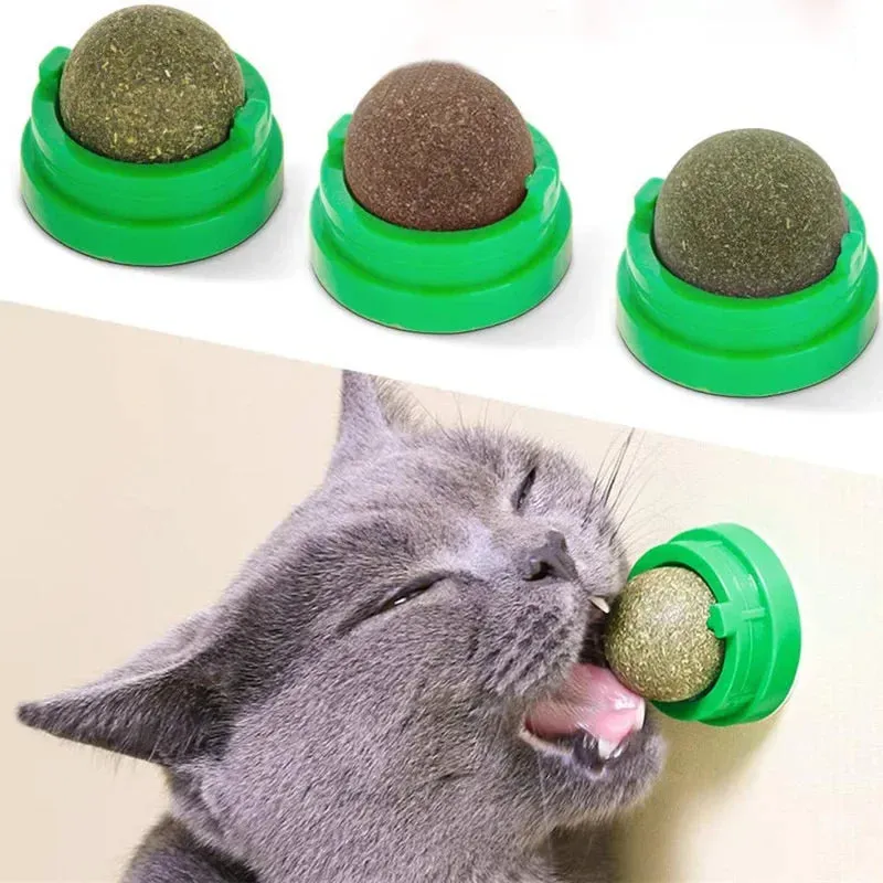 Cat Scratching Post with Catnip - Wall-Mounted Toy for Cats
