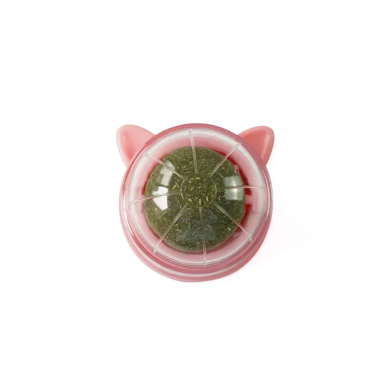 Cat Scratching Post with Catnip - Wall-Mounted Toy for Cats