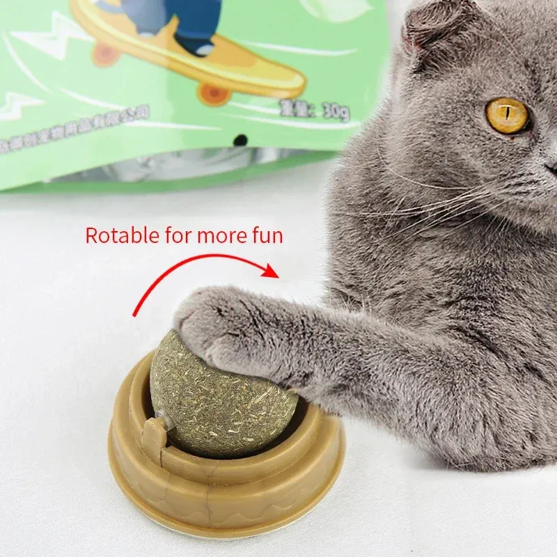 Cat Scratching Post with Catnip - Wall-Mounted Toy for Cats