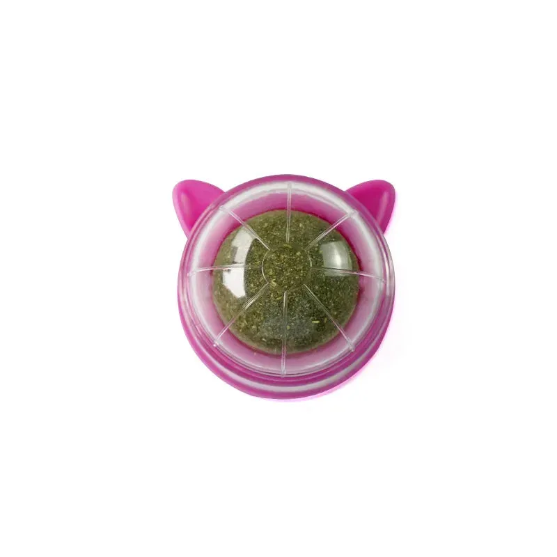 Cat Scratching Post with Catnip - Wall-Mounted Toy for Cats