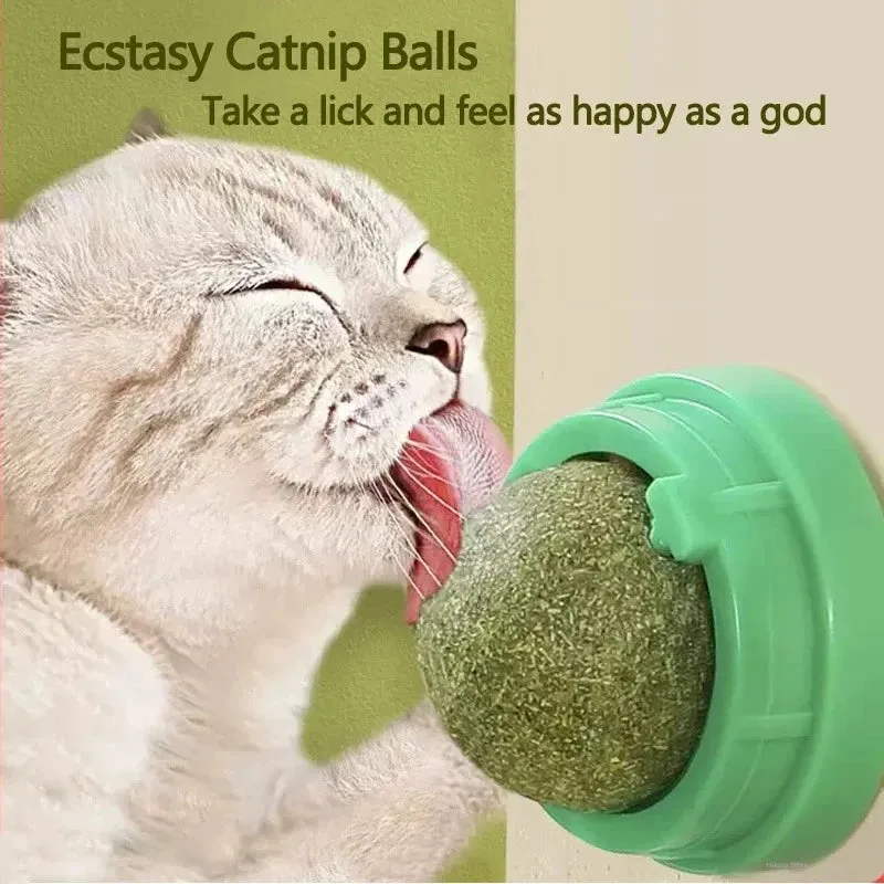 Cat Scratching Post with Catnip - Wall-Mounted Toy for Cats