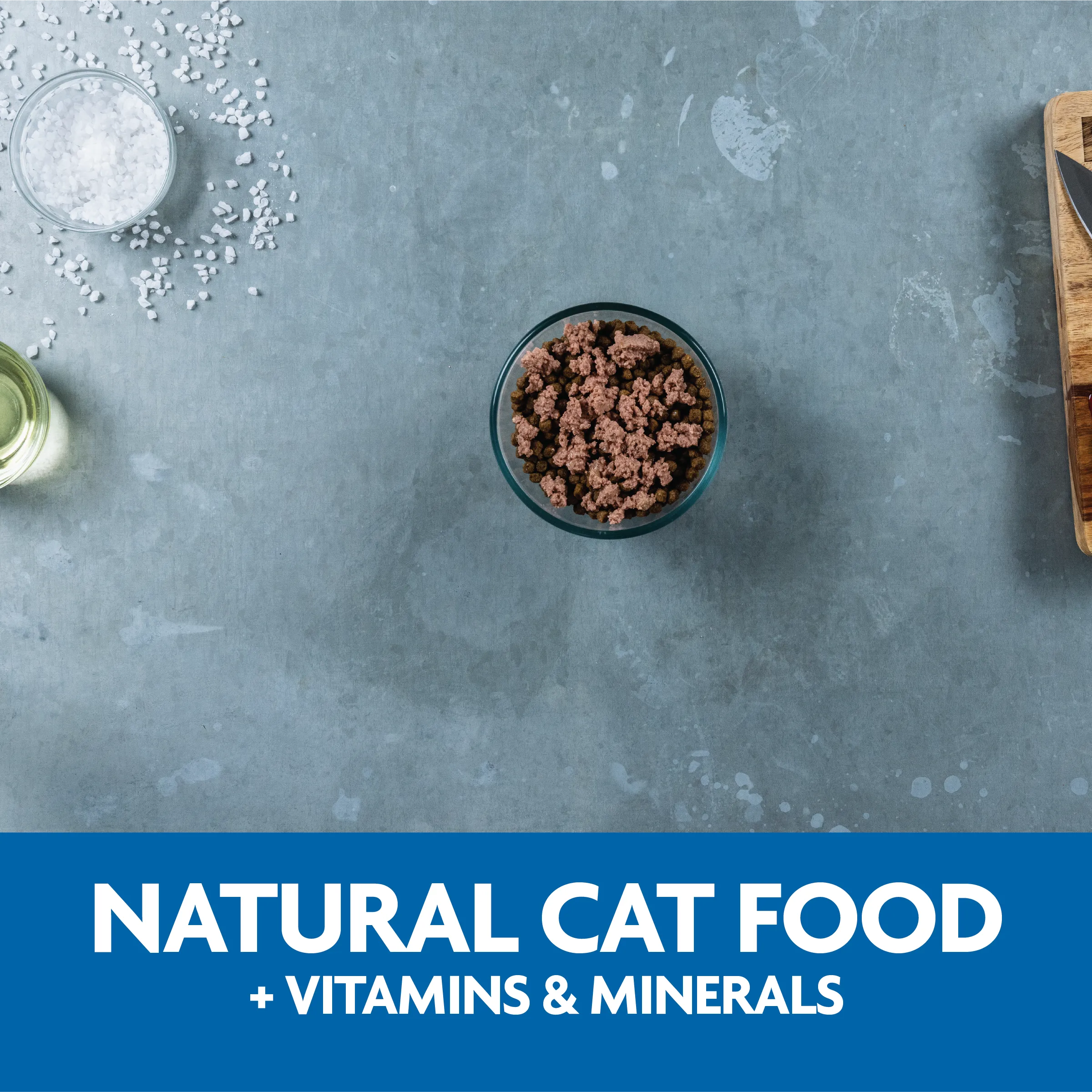 Classic Crafted Meals Chicken Wet Cat Food | 3.5 oz - 15 pk | Evolve