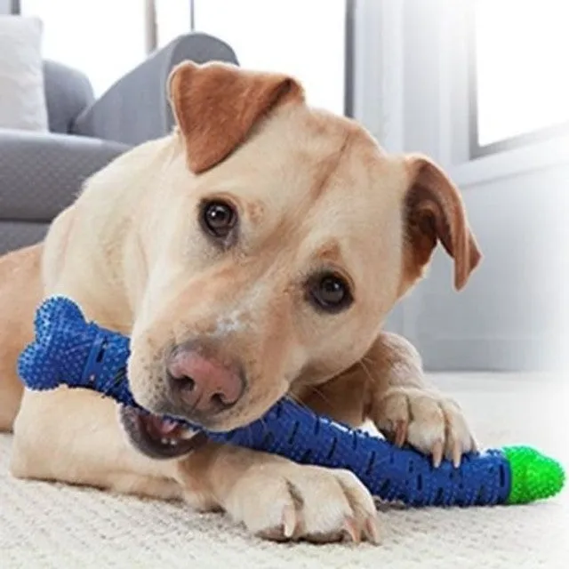 Dog Chewbrush Tooth Cleaning Rb-46