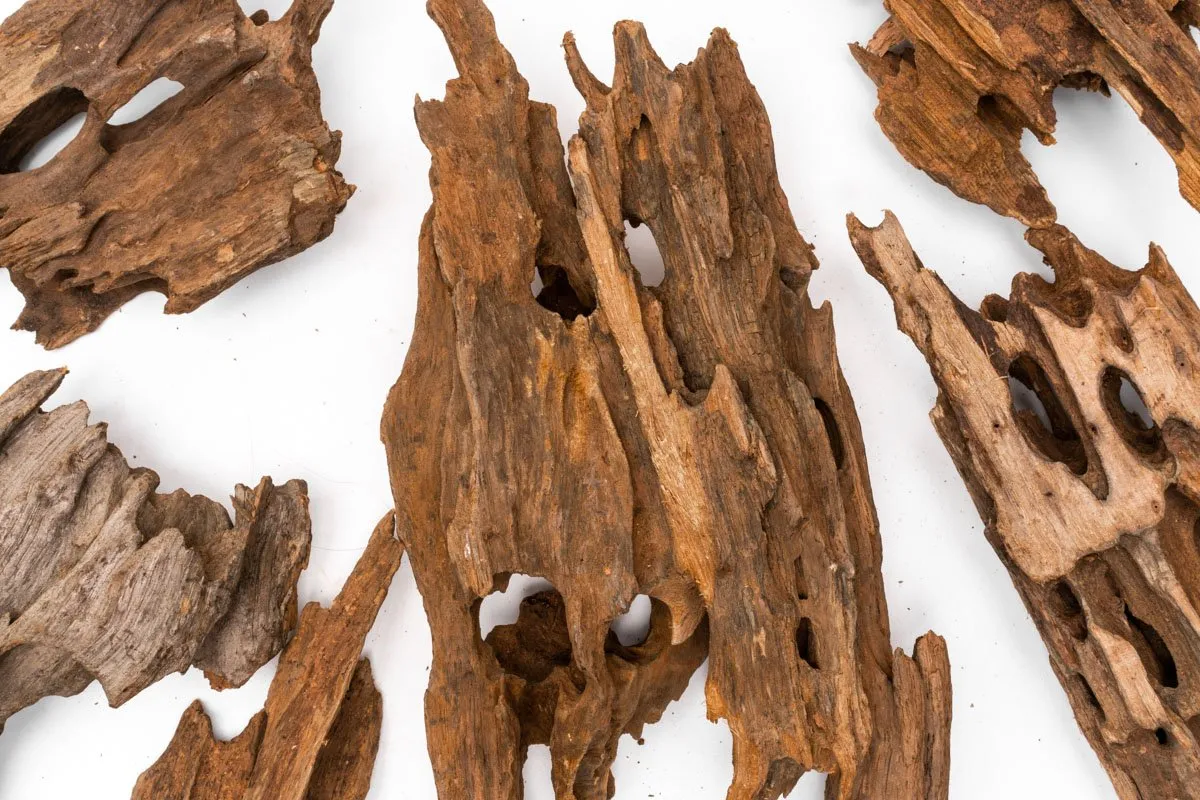 Dragon Wood