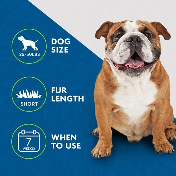 FURminator deShedding Tool Medium Dog Short Hair