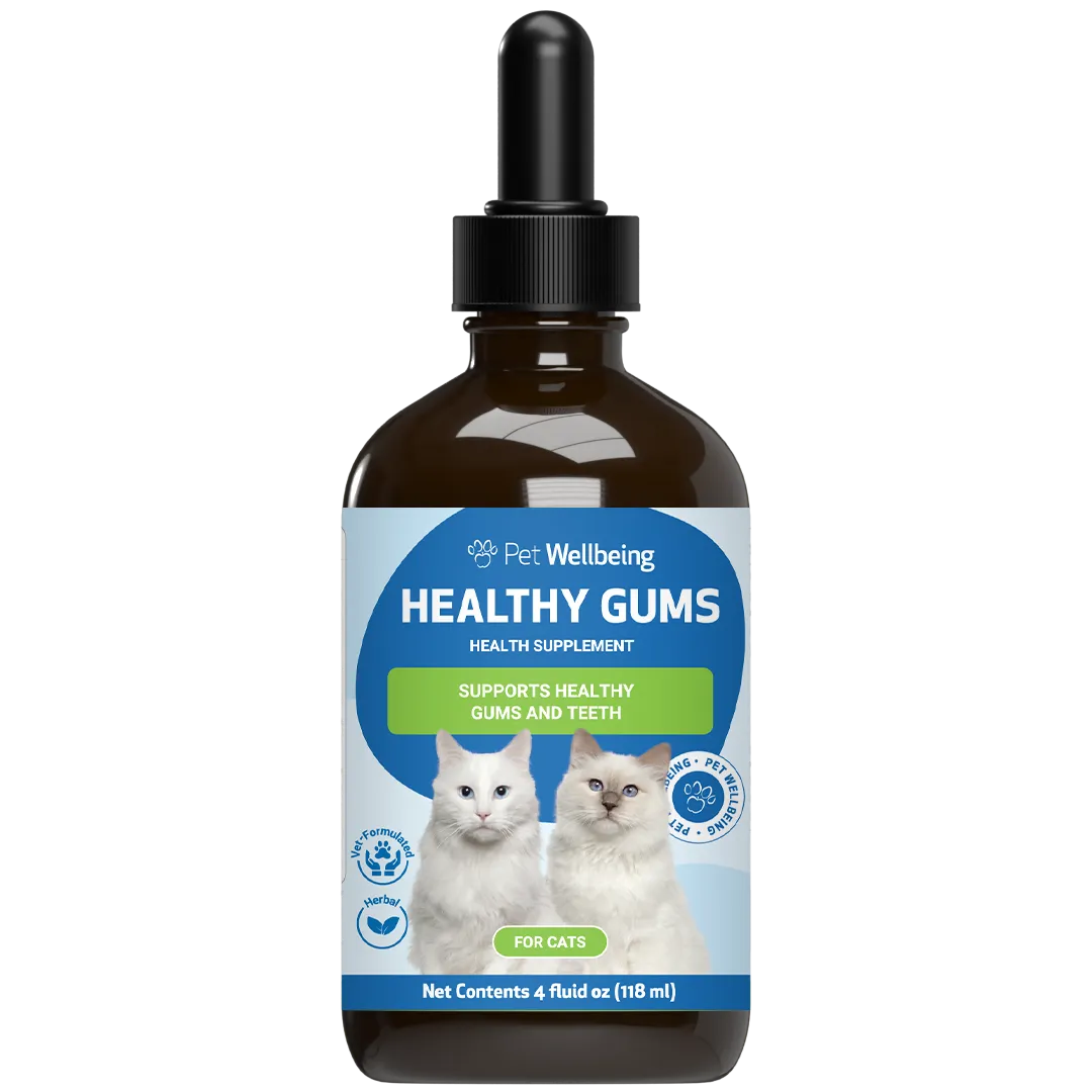 Healthy Gums - Topical Oral and Dental Care for Cats