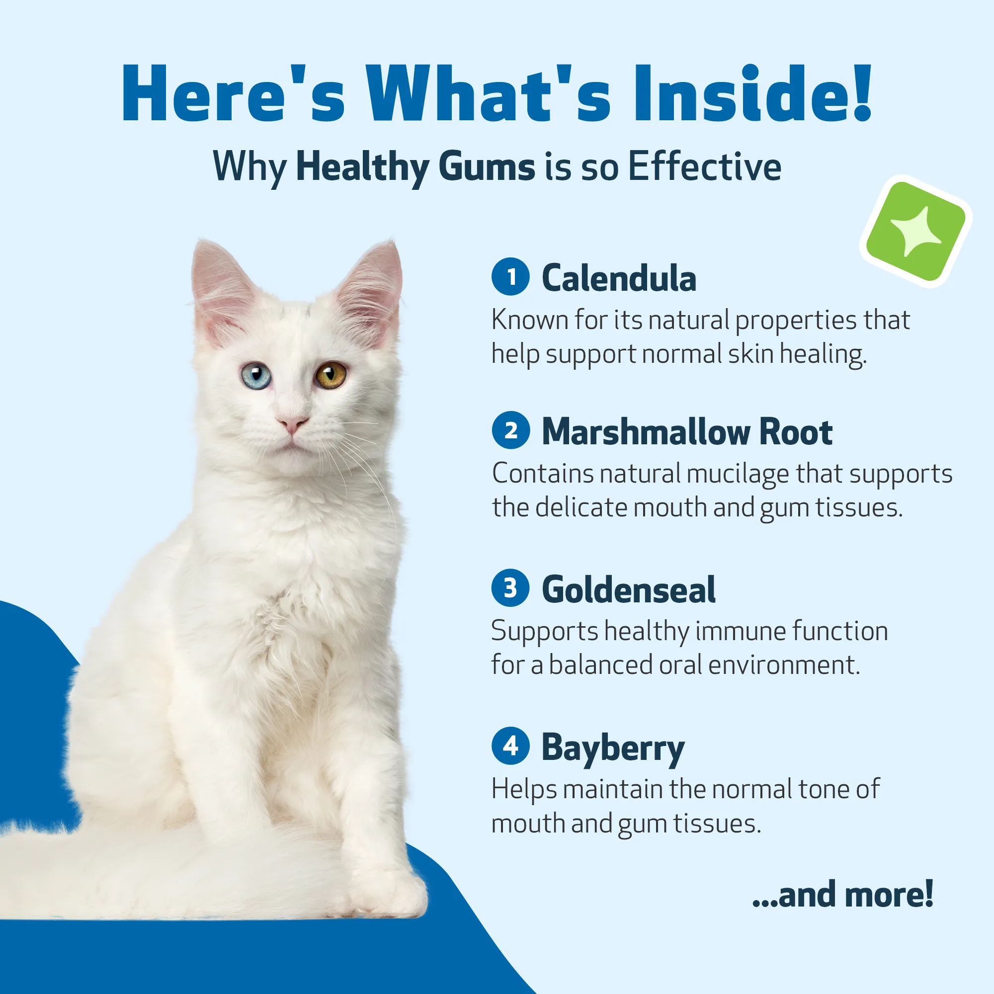 Healthy Gums - Topical Oral and Dental Care for Cats