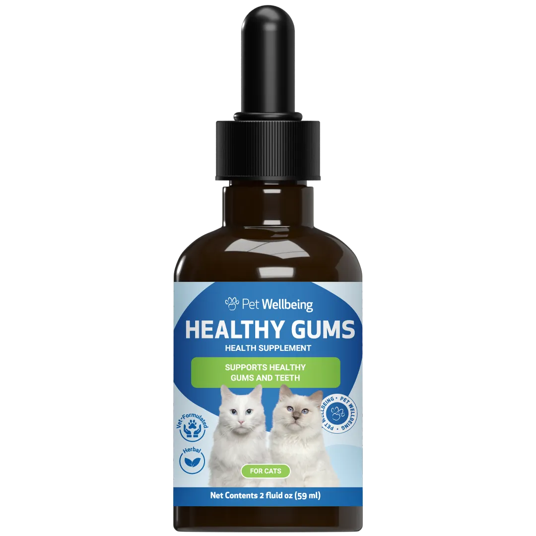 Healthy Gums - Topical Oral and Dental Care for Cats