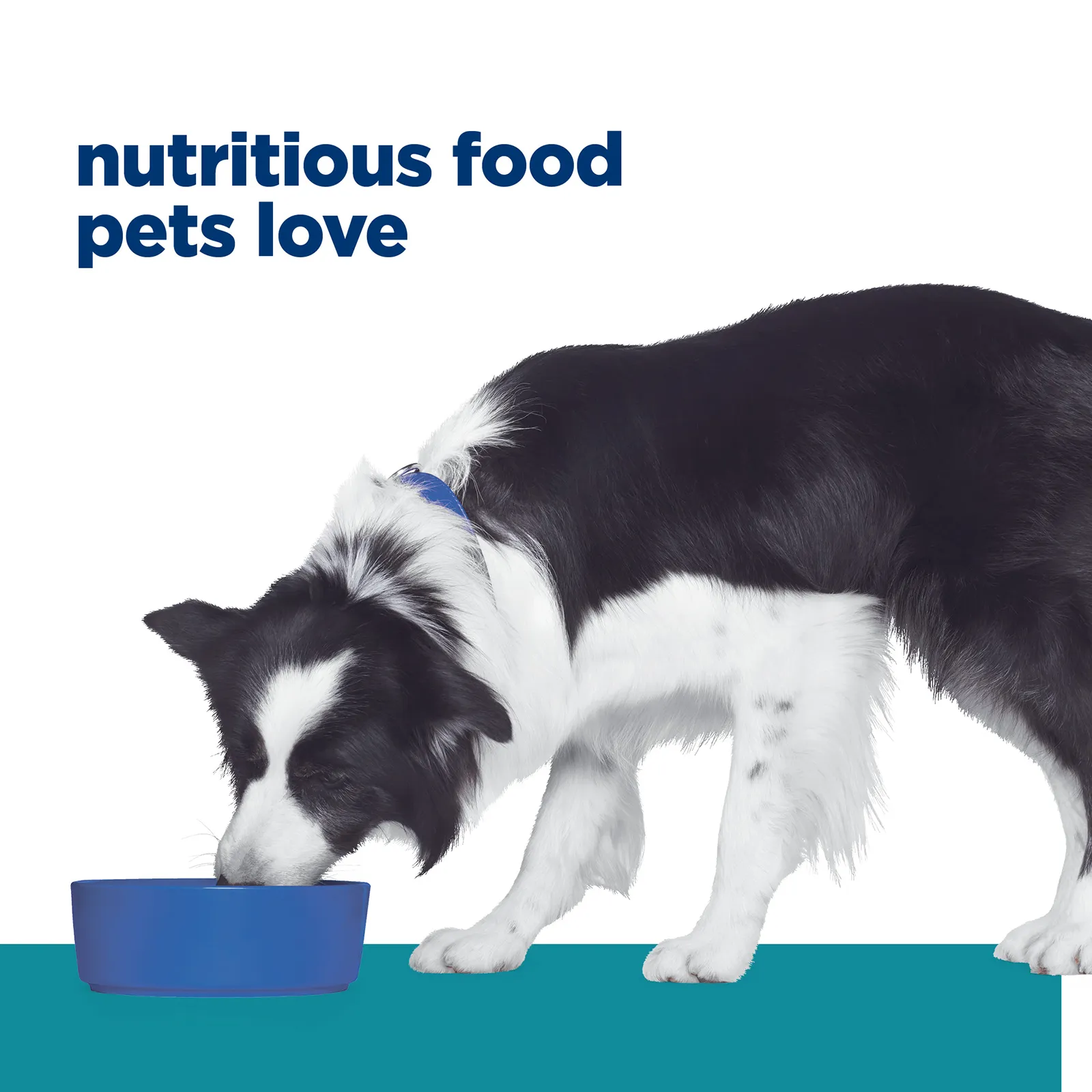 Hill's Prescription Diet Dog Food t/d Dental Care