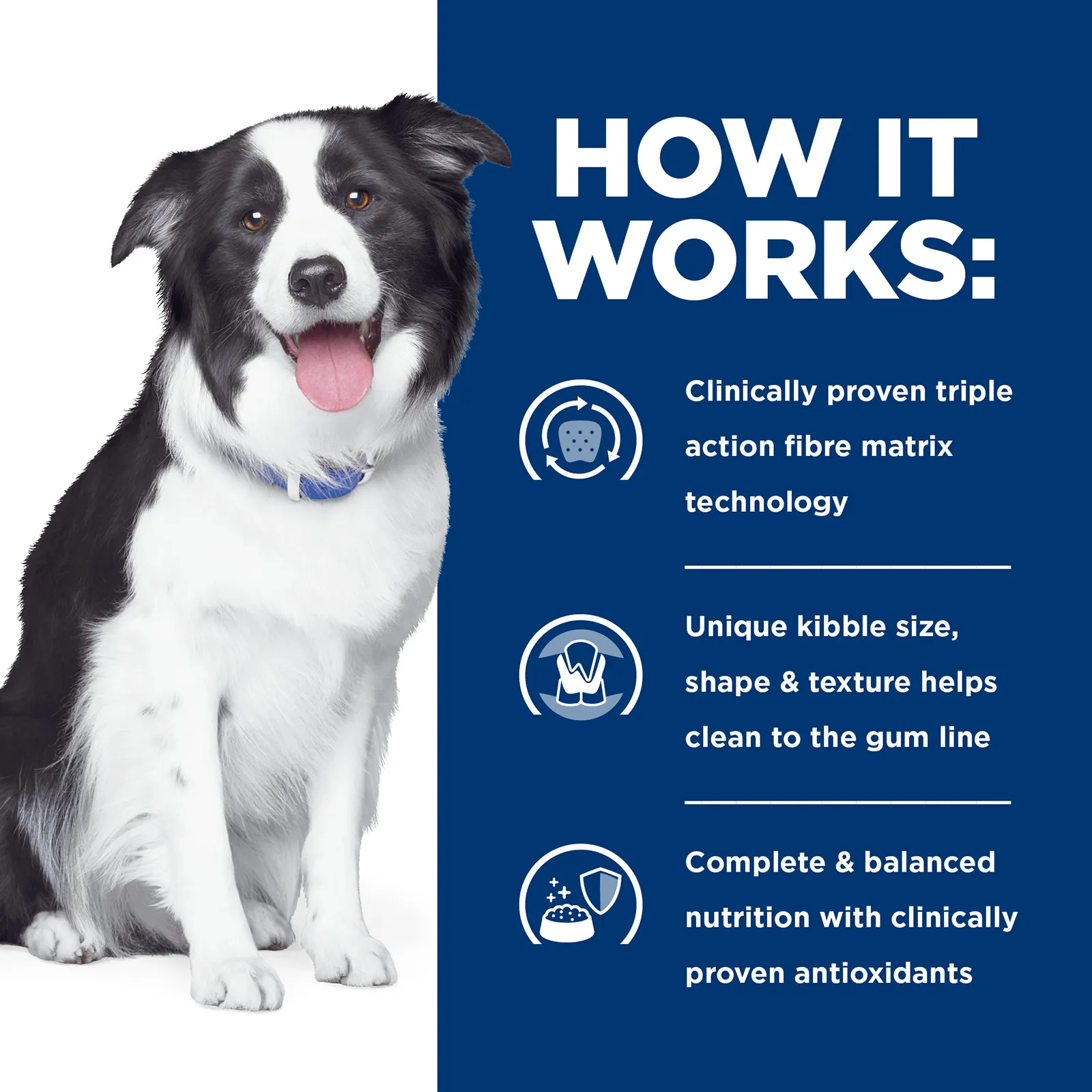Hill's Prescription Diet Dog Food t/d Dental Care