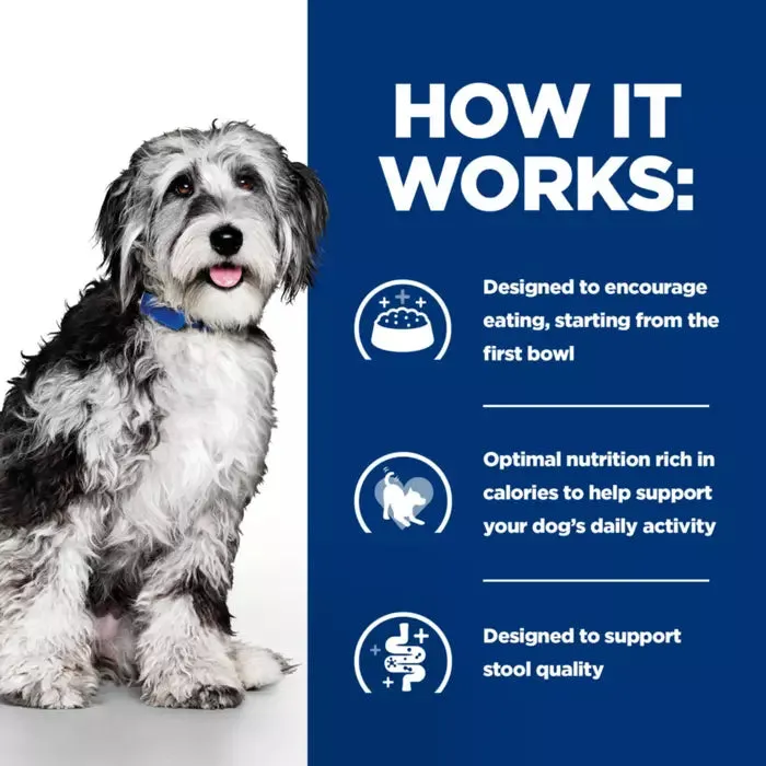 Hill's Prescription Diet ON-CARE for Dogs
