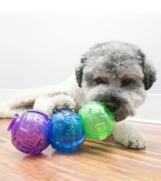 Kong Lock-It 3-pk Dog Toy