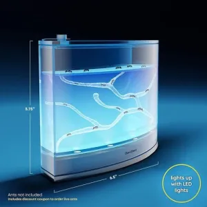 Light-Up Ant Habitat
