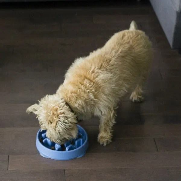 Outward Hound Fun Feeder Slo-Bowl