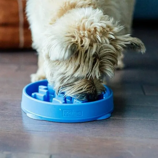 Outward Hound Fun Feeder Slo-Bowl
