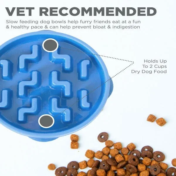 Outward Hound Fun Feeder Slo-Bowl