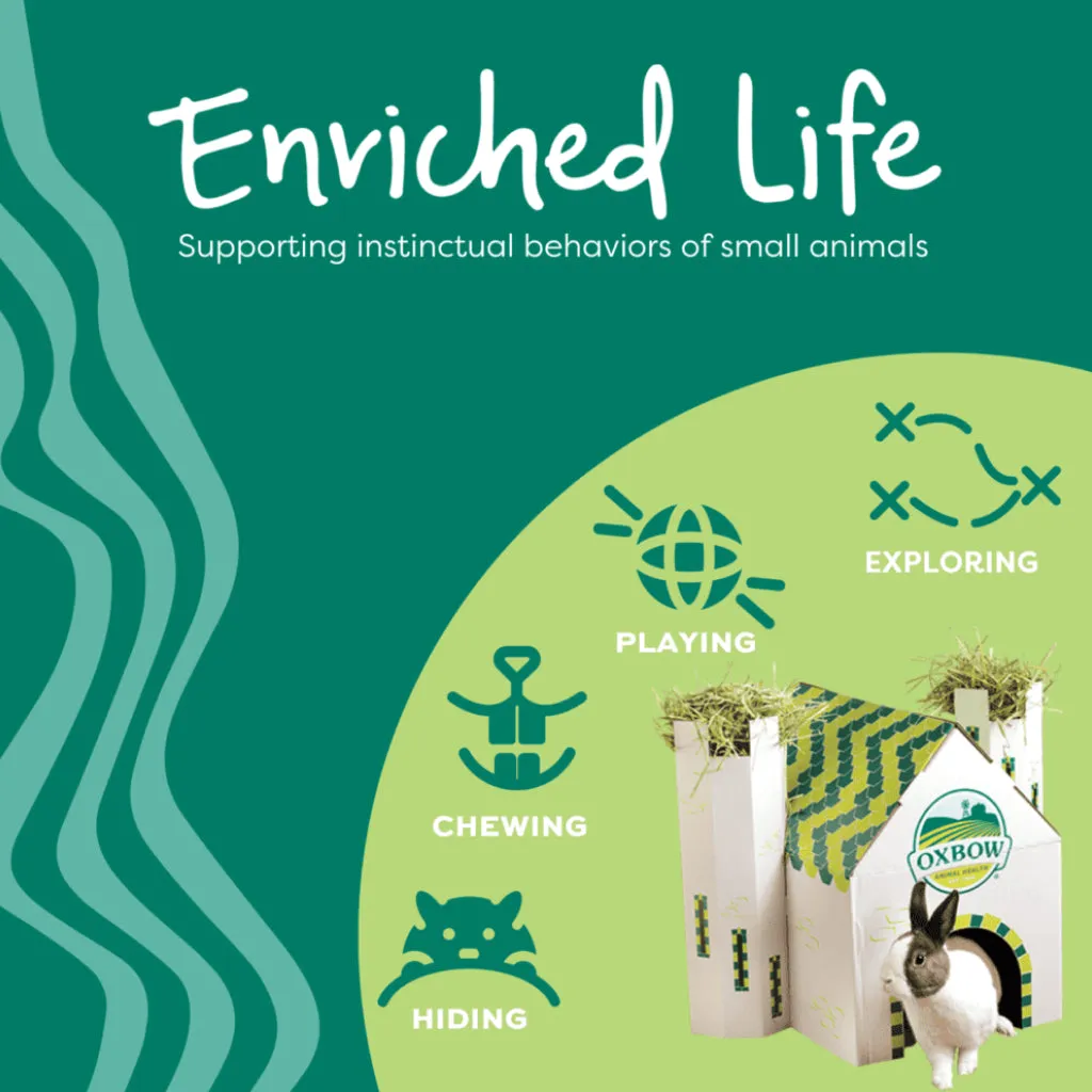 Oxbow Animal Health Enriched Life Small Animal Hideaway Hive