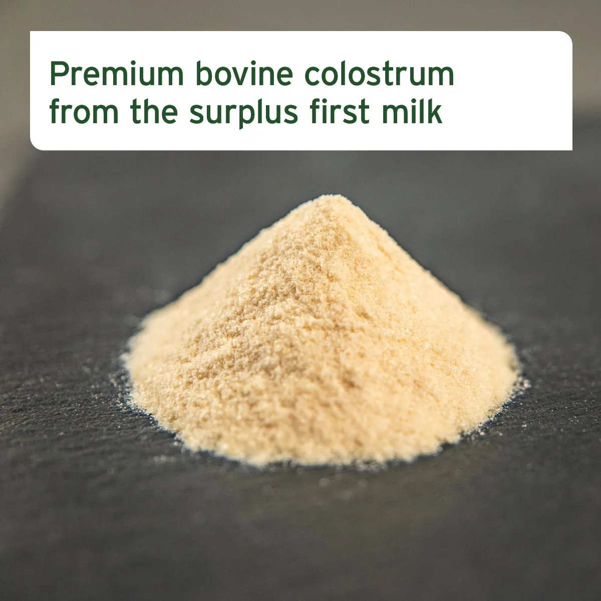 Premium Colostrum Powder for Dogs & Cats - 100g