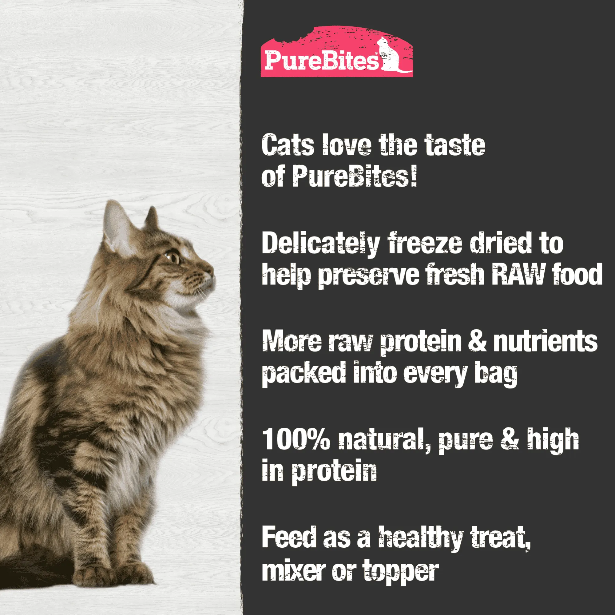 PureBites for Cats - Shrimp Freeze Dried Treats