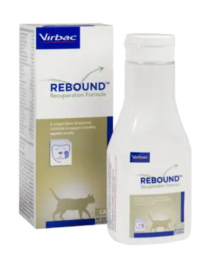 Rebound Recuperation Formula for Cats
