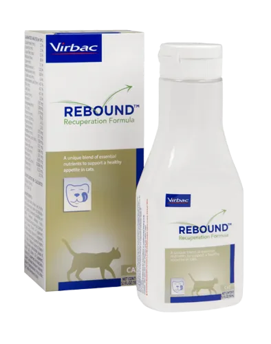 Rebound Recuperation Formula for Cats