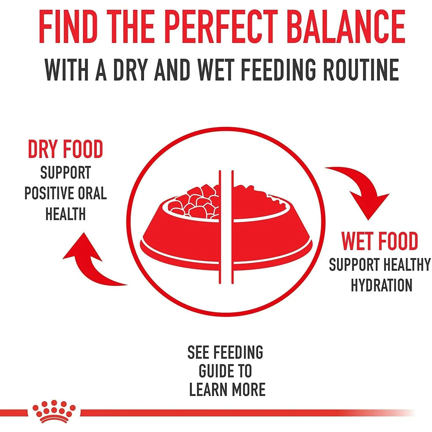 Royal Canin Breed Health Nutrition Chihuahua Adult Dry Dog Food