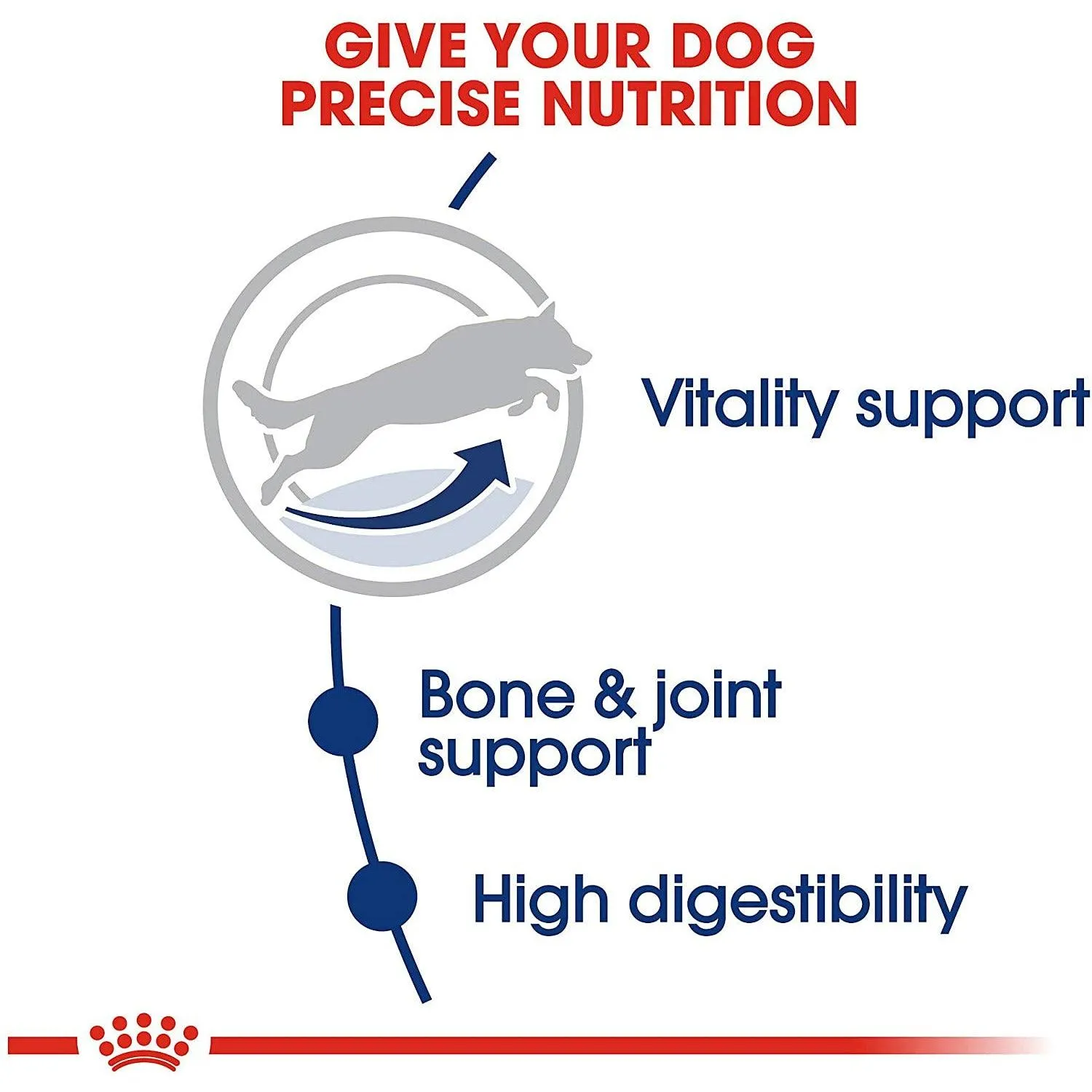 Royal Canin Dog Food Large Aging Care Adult 5 