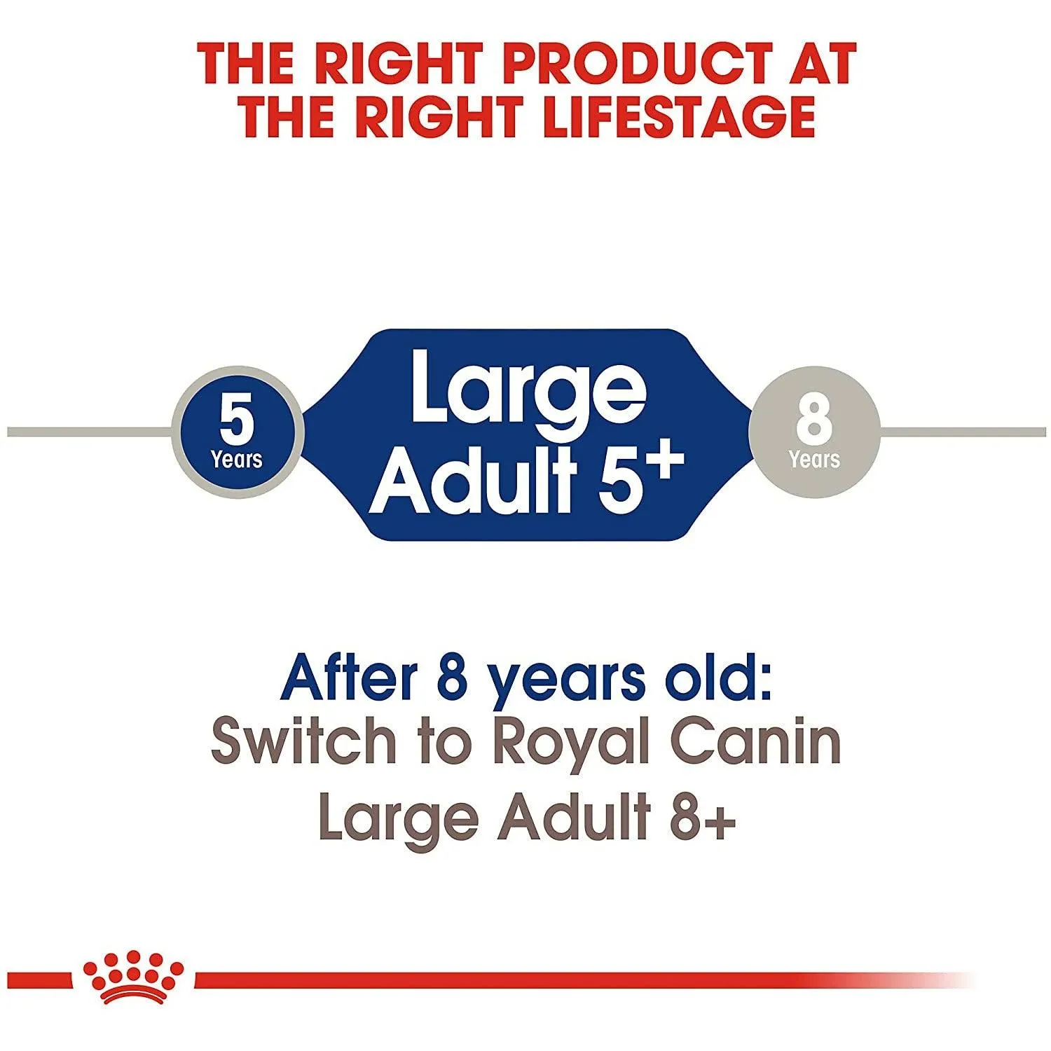 Royal Canin Dog Food Large Aging Care Adult 5 