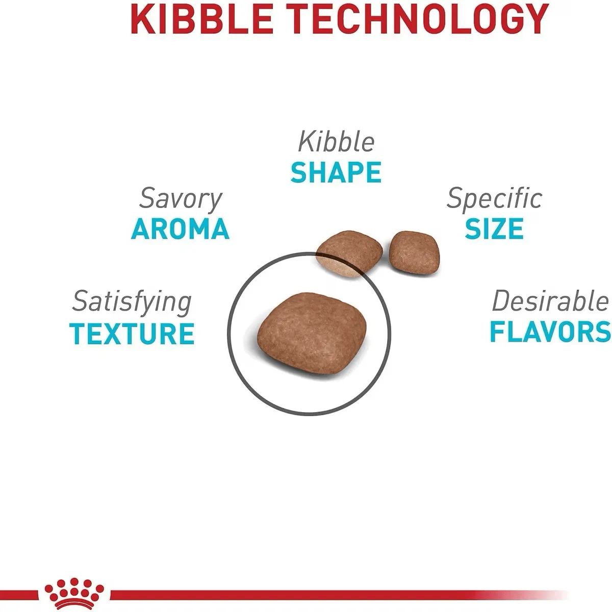 Royal Canin® Feline Care Nutrition™ Urinary Care Dry Cat Food