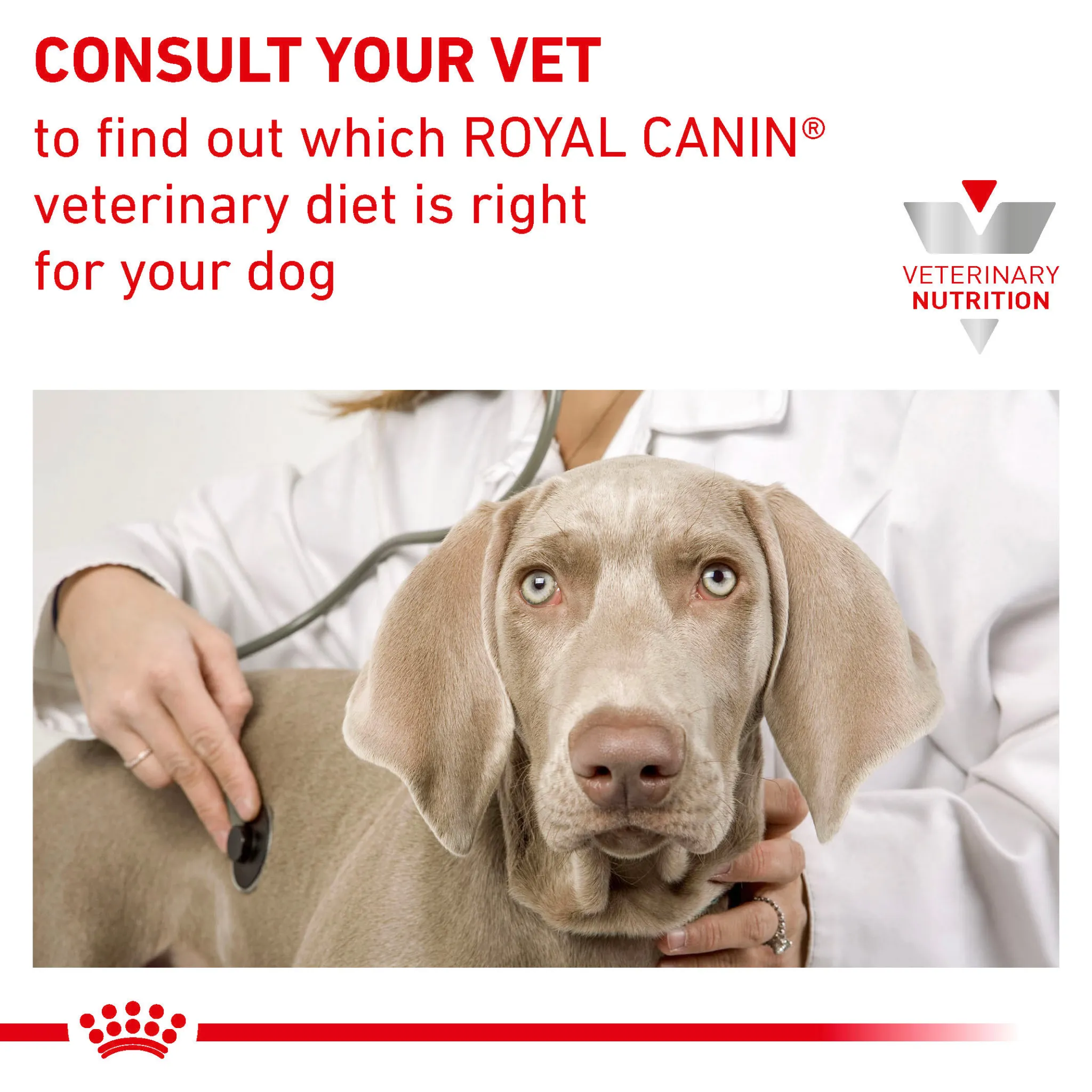 ROYAL CANIN® Gastrointestinal Adult Wet Dog Food