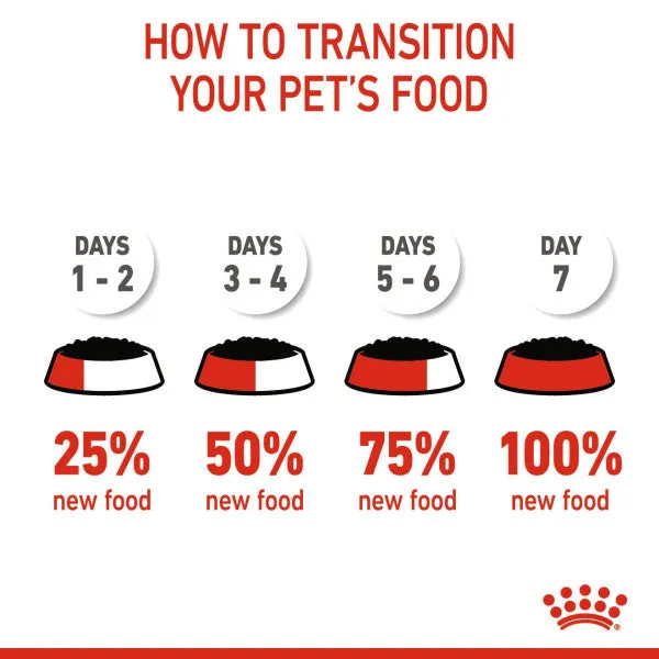 Royal Canin | Size Health Nutrition Wet Dog Food | Maxi Puppy - 140g