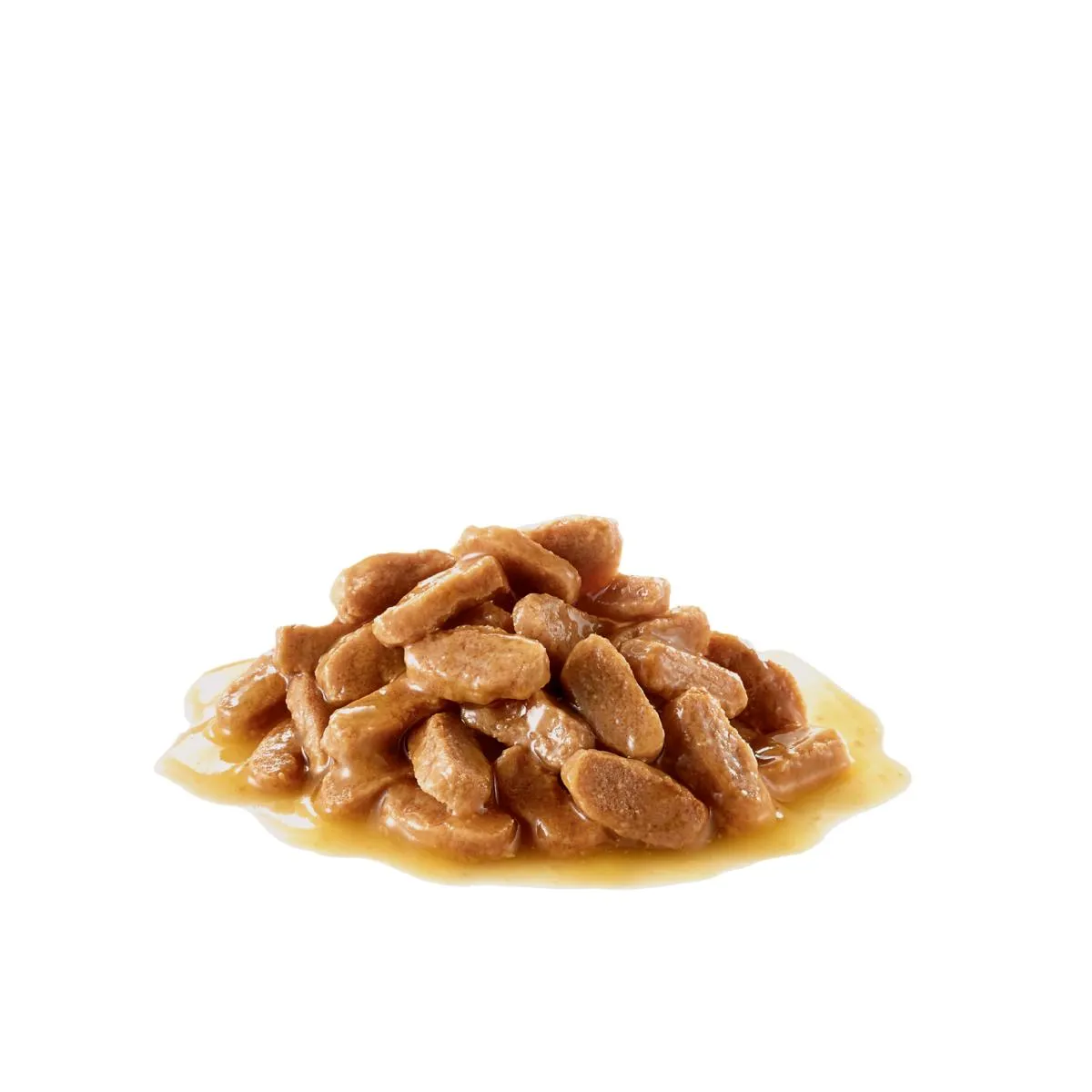 Royal Canin | Size Health Nutrition Wet Dog Food | Maxi Puppy - 140g
