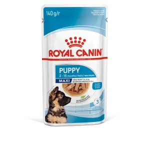 Royal Canin | Size Health Nutrition Wet Dog Food | Maxi Puppy - 140g
