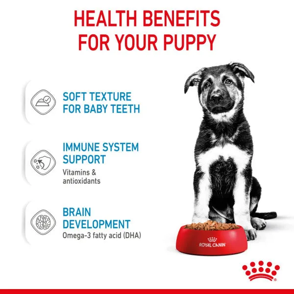 Royal Canin | Size Health Nutrition Wet Dog Food | Maxi Puppy - 140g