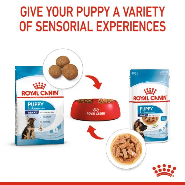 Royal Canin | Size Health Nutrition Wet Dog Food | Maxi Puppy - 140g