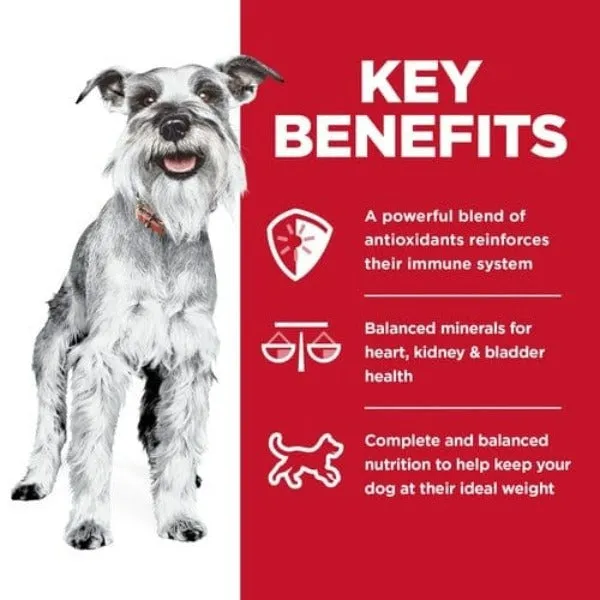 Science Diet Adult 7  Small & Mini Chicken & Brown Rice Recipe Dry Dog Food