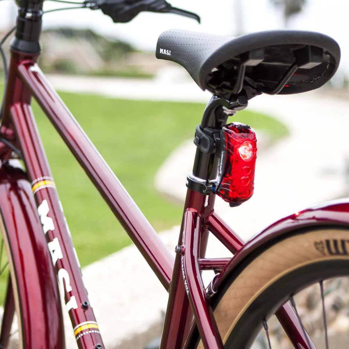 Sentinel™ 250 Bike Taillight with Laser Lanes