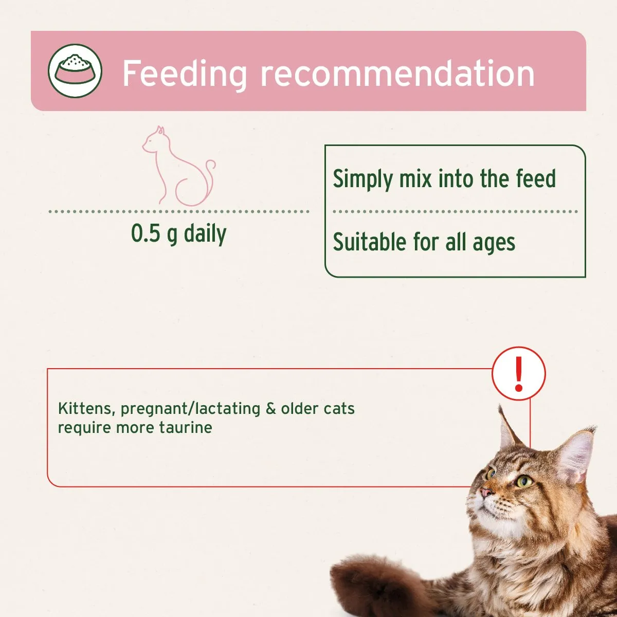 Taurine Powder for Cats - 100g - Essential Amino Acid Supplement