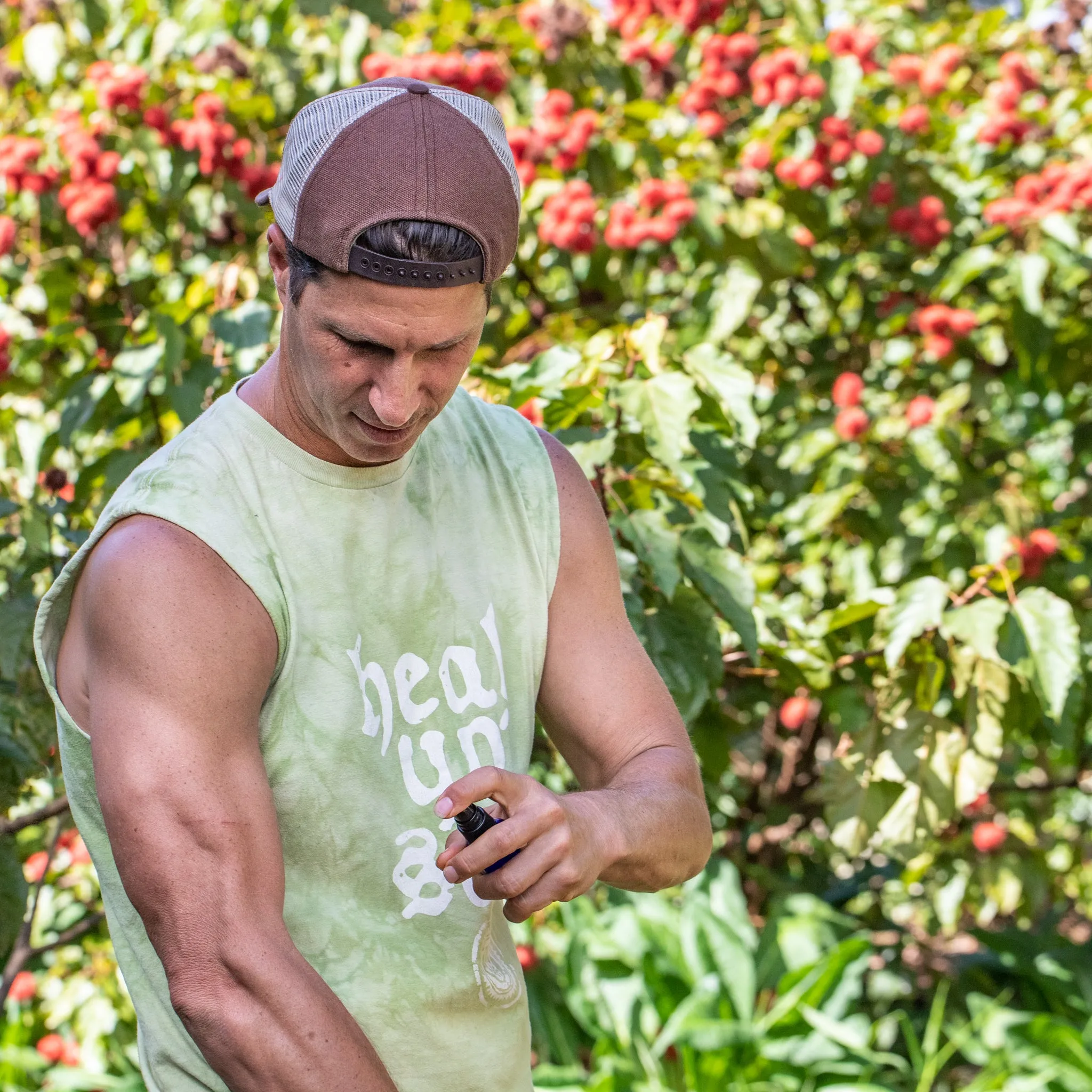 Tea Tree Hydrosol