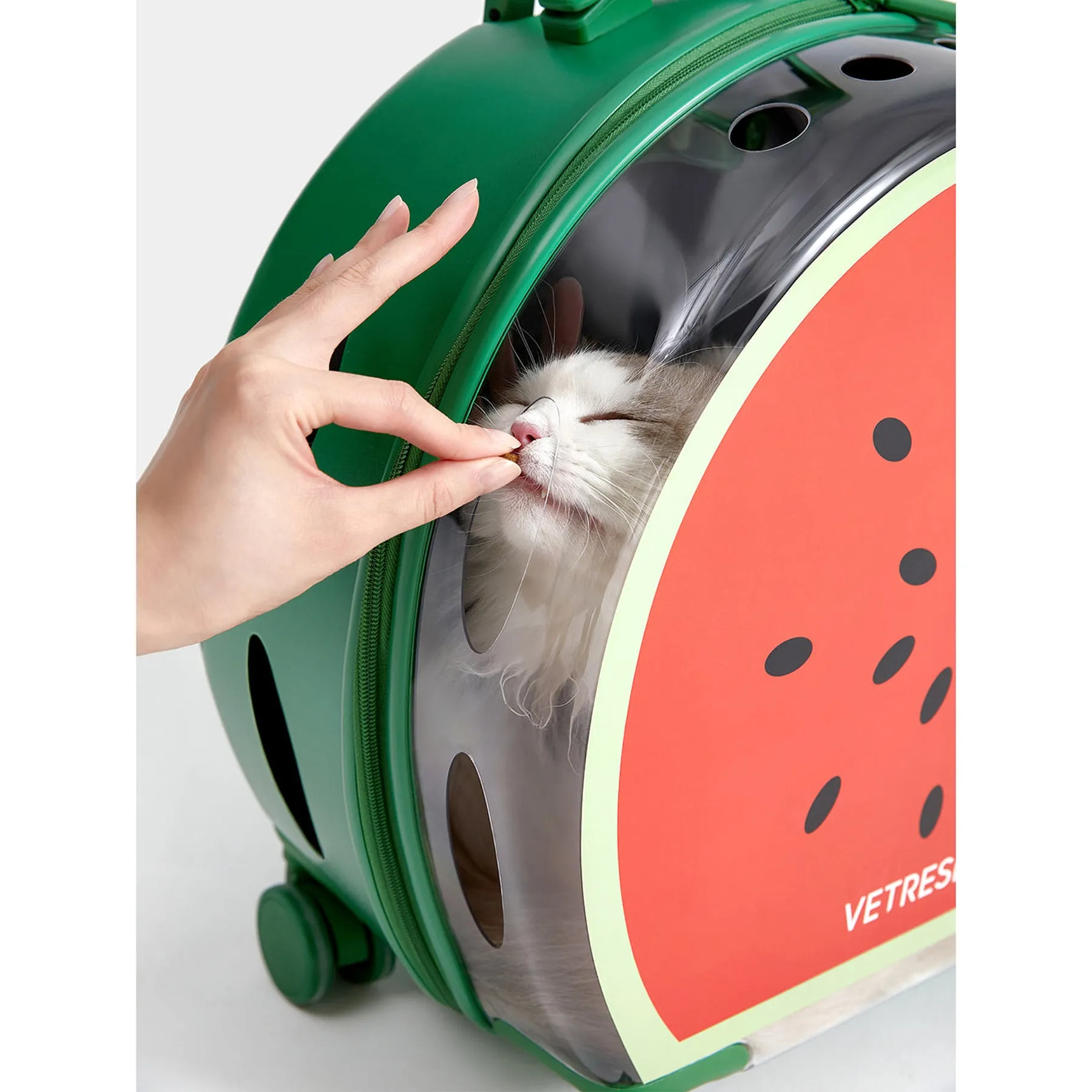 VETRESKA BUBBLE PET CARRIER - GREEN