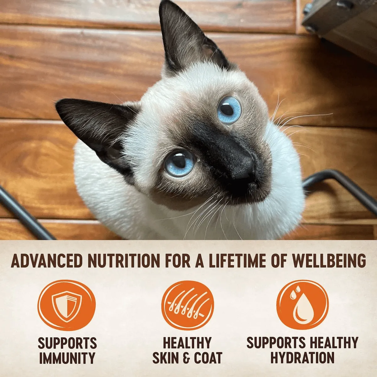 Wellness CORE Tiny Tasters Chicken Wet Cat Food